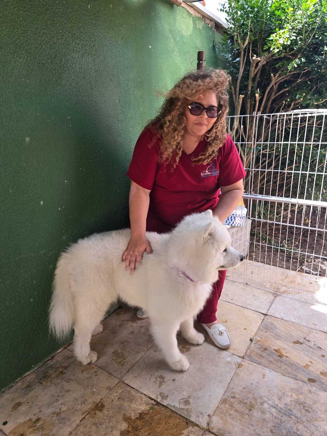 Consulta Para Animais Alérgicos Landing Image