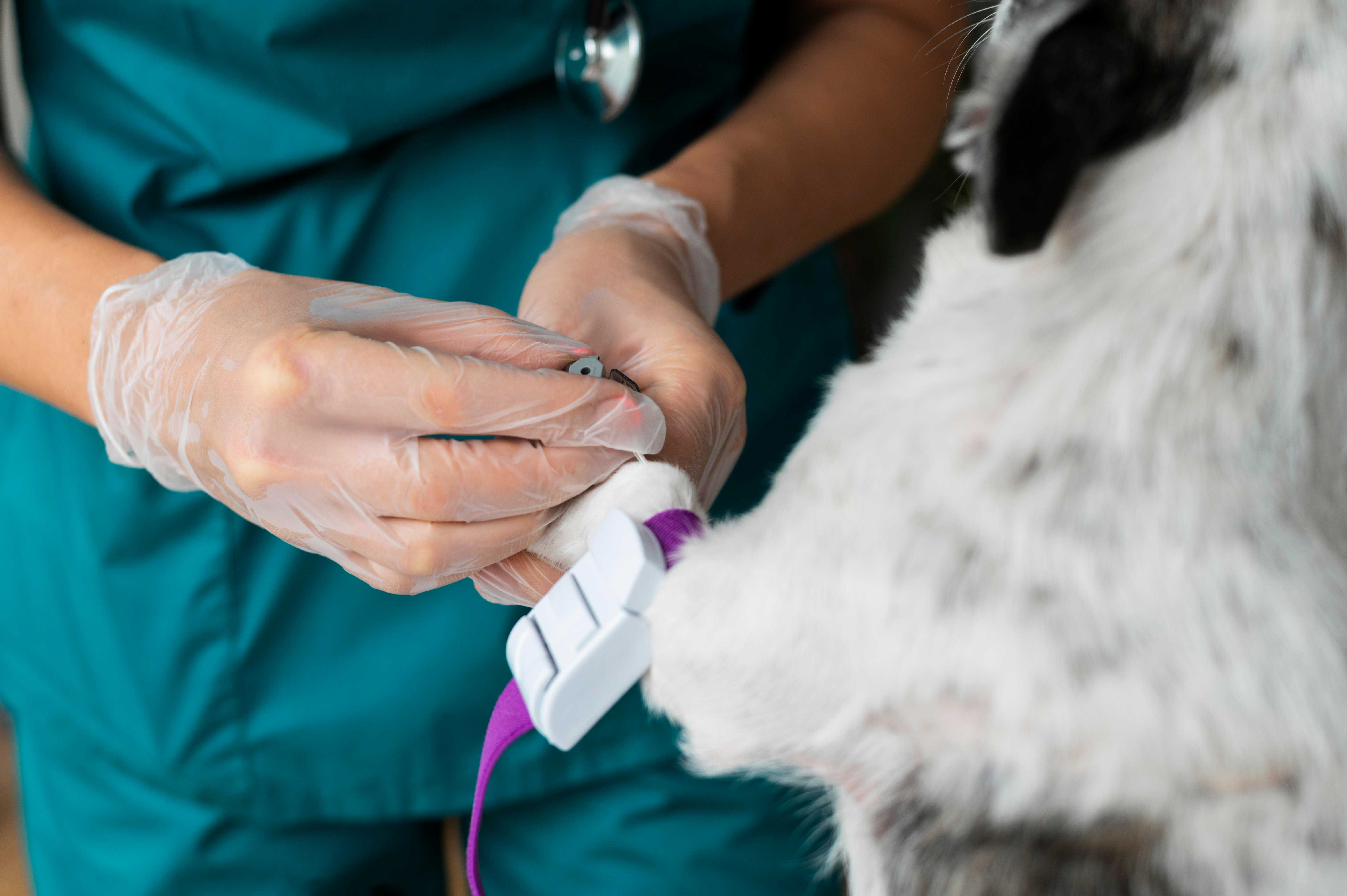 Consulta de Check-Up Landing Image