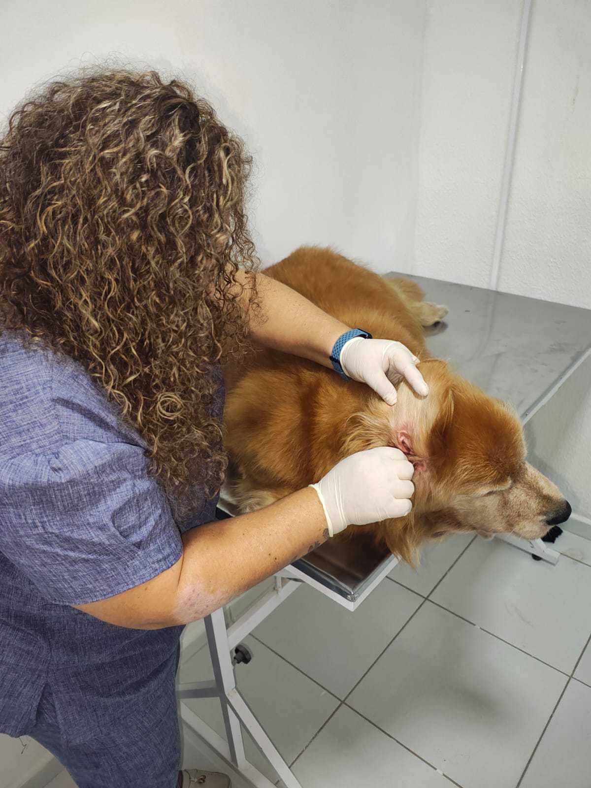 Exames Específicos de Pele Landing Image