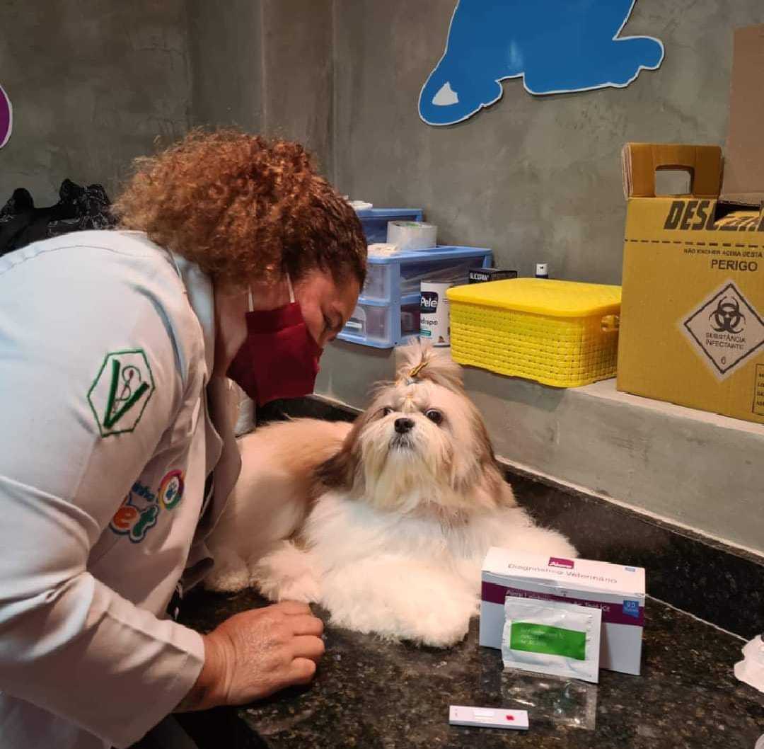 Foto da Galeria